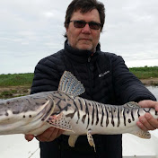 Profile Picture of Jorge Benjamin (@jorgebenjamin6761) on Youtube