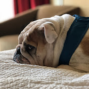 Profile Picture of Justin Rick (@JustinRick) on Youtube