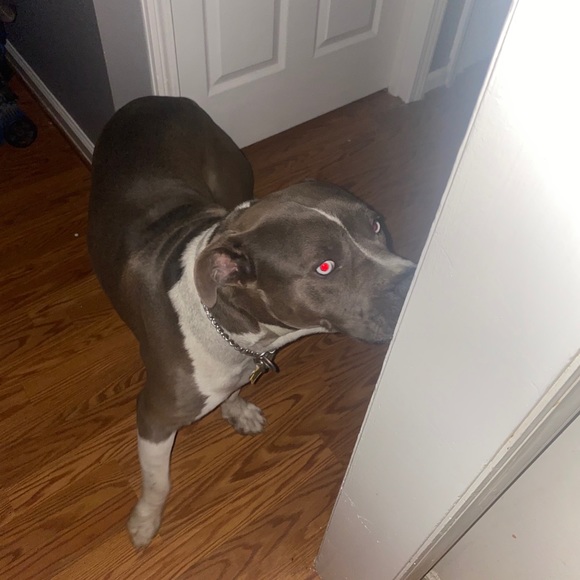 Profile Picture of Chris Lassiter (@chris_lassiter) on Poshmark