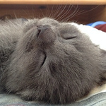 Profile Picture of Amanda Chambers (@amandacinwinnipeg) on Flickr