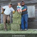 Profile Picture of Alex Dodds (@alex.dodds.143) on Instagram