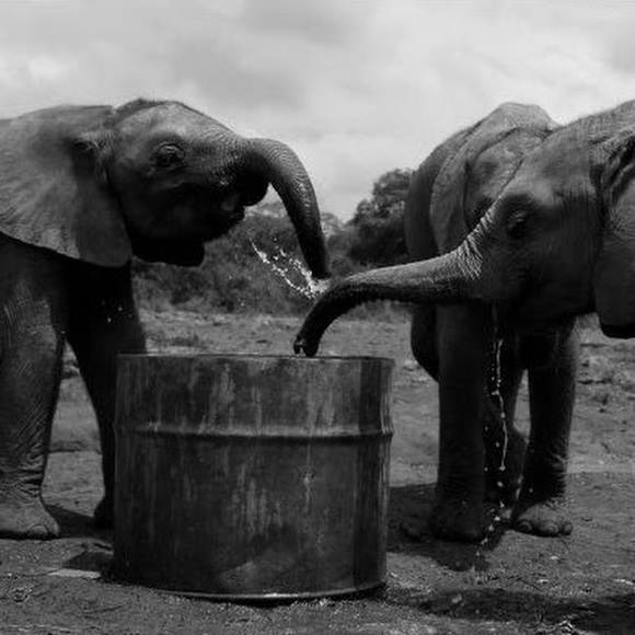 Profile Picture of Sarah Krysan (@sakrysan) on Poshmark