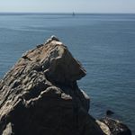 Profile Picture of Alexander Leinemann (@alex_lb44) on Instagram