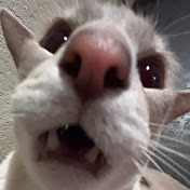 Profile Picture of Hayden Hull (@haydenhull7830) on Youtube