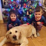 Profile Picture of Norma Bradley (@norma.obrien.92) on Instagram