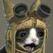 Profile Picture of Kevin Steffensen (@kevinodin2002) on Pinterest