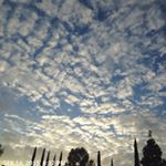 Mike Kuester - Instagram Profile Picture of Mike Kuester (@bigred6484) on Instagram