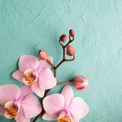 Profile Picture of Im Not Bruce 💗💜💙 (@EmilyAnneMichie) on Twitter