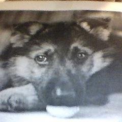 Profile Picture of Leon Barker (@leonbarker14) on Twitter