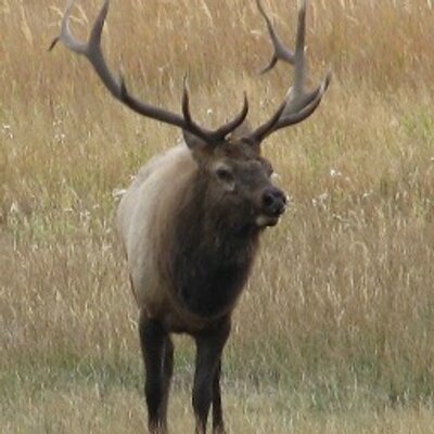 Profile Picture of James Hileman (@JHileman7) on Twitter