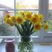 Profile Picture of Joan Stephens (@joan.stephens.14224) on Facebook
