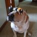 Profile Picture of Todd Hillestad (@todd.hillestad) on Facebook