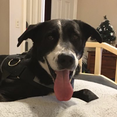 Profile Picture of Christopher Overholt (@Christo86903738) on Twitter