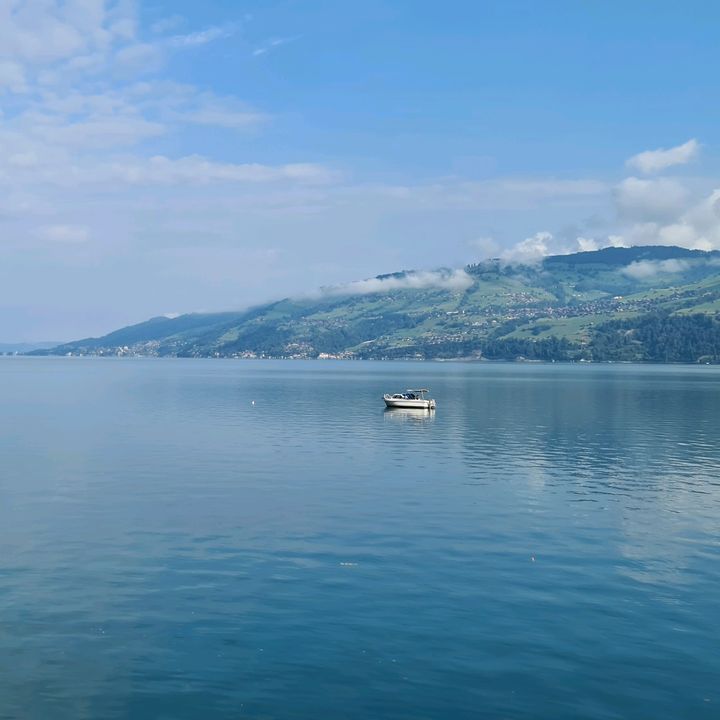 Profile Picture of Filipe Goncalves (@@filipegoncalves7) on Tiktok