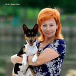 Profile Picture of Ilona Zlatkina (@basenji_mysterious_talisman) on Instagram