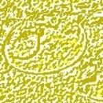 Profile Picture of Deborah Corette (@corette6333) on Instagram