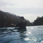 Profile Picture of 곽철훈 (@hoonchoul) on Instagram