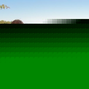 Profile Picture of Sothy Khim (@346709481) on Myspace