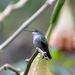 Profile Picture of Delzad Billimoria (@delzad billimoria) on Flickr