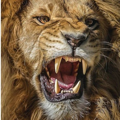 Profile Picture of Amon Maswi (@MaswiAmon) on Twitter