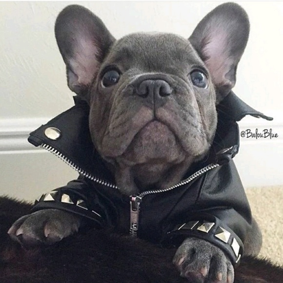 Profile Picture of Hope Chirpich (@nullifeye) on Poshmark