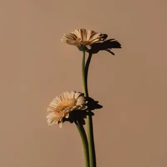 Profile Picture of Grigory Korolev (@anniekoroleva) on Poshmark