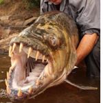 Jim McLeod - Instagram Profile Picture of Jim McLeod (@jim.mcleod.758) on Instagram