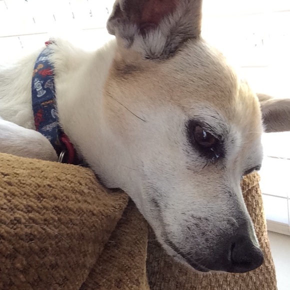 Profile Picture of Joelene Rideout (@jojo49) on Poshmark