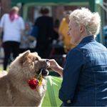 Profile Picture of Jess Probst (@uwantjesse) on Instagram