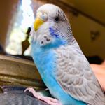 Emanuel Navasartian - Instagram Profile Picture of Emanuel Navasartian (@emanuelnavasartian) on Instagram