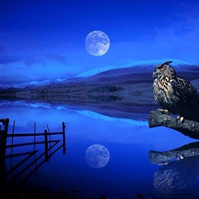 Profile Picture of David G Parvin (@david19552003) on Twitter