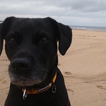 Profile Picture of Jasmine Grantham (@jboolyall) on Flickr