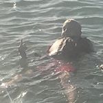 Profile Picture of Nicholas (@nicholas_krogh_knudsen) on Instagram