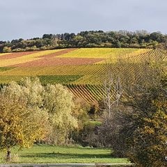 Profile Picture of Andy Richter43 (@andyrichter) on Tiktok