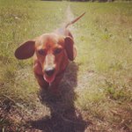 Profile Picture of Joyce Stuart (@billstormgreat) on Instagram