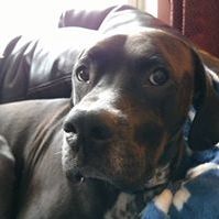 Profile Picture of Darren Spotts (@darrenspotts) on Pinterest