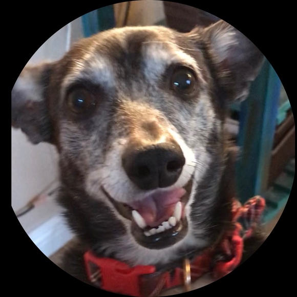Profile Picture of Chris Mayhew (@jamestrix) on Poshmark