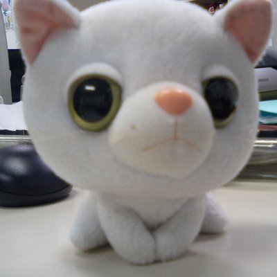 Profile Picture of Tom Muto (@office_tom) on Twitter