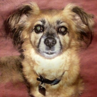 Profile Picture of George Lori (@GeorgeLori1) on Twitter