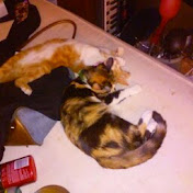 Profile Picture of Kenneth Gulley (@thekennygeist) on Youtube