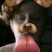 Profile Picture of Jonathan Duvall (@jonathanduvall7) on Pinterest