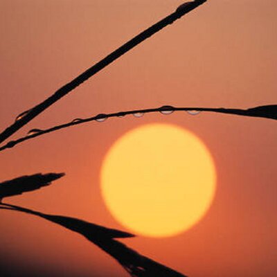 Tim Alderman - Twitter Profile Picture of Tim Alderman (@timalder) on Twitter