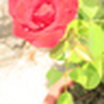 Profile Picture of alexis  sanchez rosas (@ALEX---PRADA) on Flickr