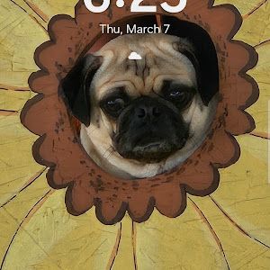 Profile Picture of CLINTON BATCHELOR (@clinton.batchelor) on Tiktok