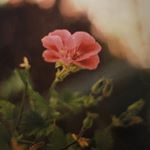 Nathan Doeswijk - Instagram Profile Picture of Nathan Doeswijk (@filmbynathan) on Instagram