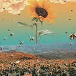 Profile Picture of Jacob Stedman (@infinitysimile) on Instagram