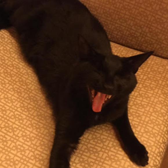 Profile Picture of Maya Solomon (@maya_solomon) on Poshmark