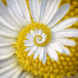 Profile Picture of janick49 (@@janick49) on Tiktok