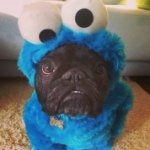 Profile Picture of jamie_whiting_ (@jamie_whiting_) on Instagram