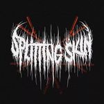 selection of winners follow me - Instagram Profile Picture of selection of winners follow me (@splittingskin_) on Instagram